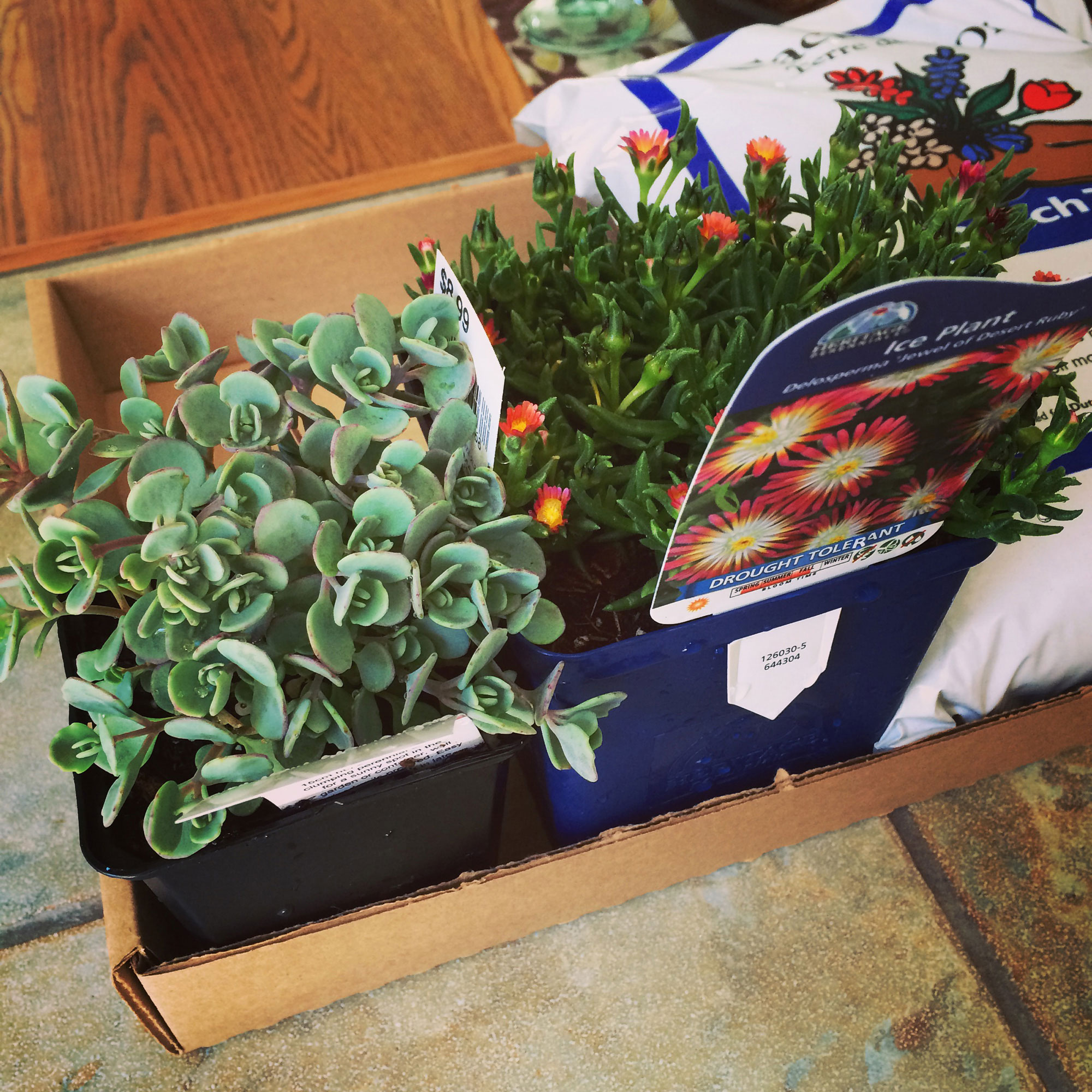 DIY Burlap planter Crafting with Crap