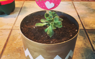 DIY: Tin can planter