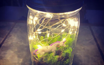 DIY: Mason jar terrarium